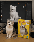Custom blind box