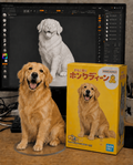 Custom blind box